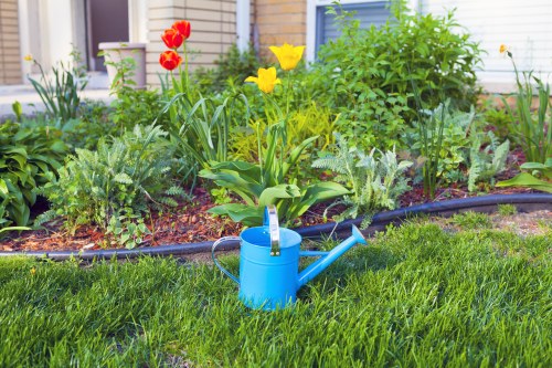 Landscape gardening in The Hale with elegant planting and lawn design