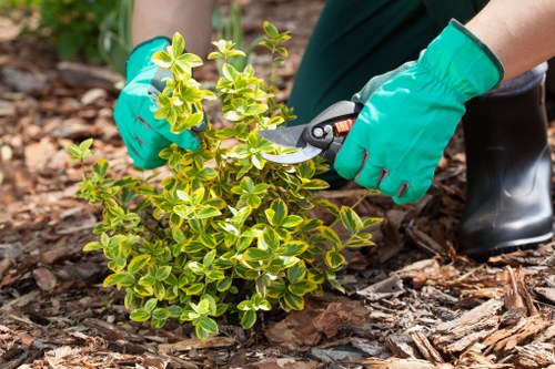 Screen-reader friendly Gardeners The Hale accessibility information