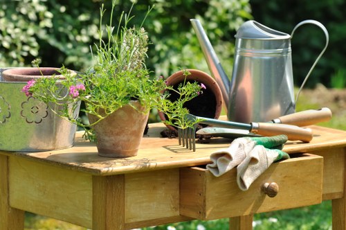 Preparing a neglected garden in The Hale for landscaping after clearance