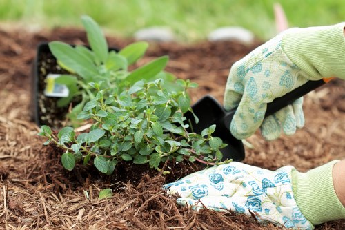Documentation being checked during a gardening complaint review