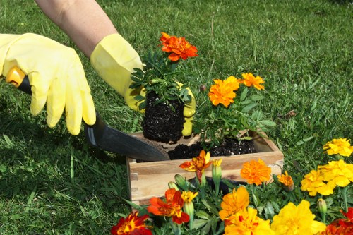 Professional garden maintenance in The Hale with seasonal attention