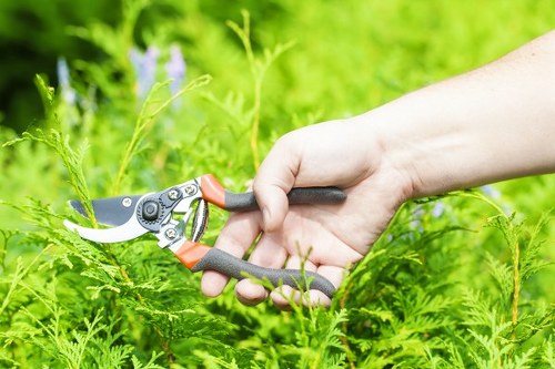Local garden care in The Hale with planted borders and healthy lawn