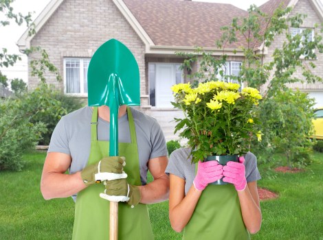 Safe pruning and tree management in The Hale
