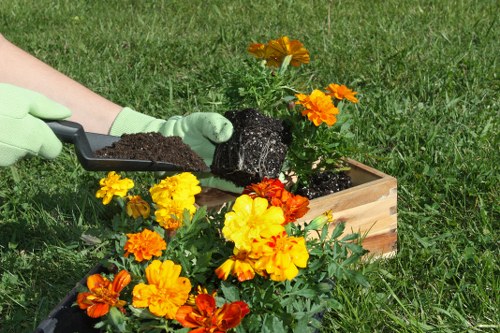 Professional lawn mowing service maintaining a suburban garden in The Hale