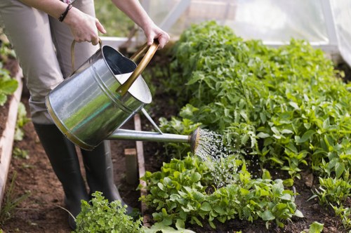 Professional garden clearance in The Hale handling branches and garden waste