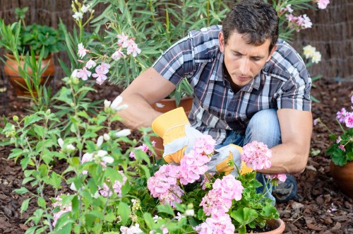 Annual review of the Gardeners The Hale modern slavery statement